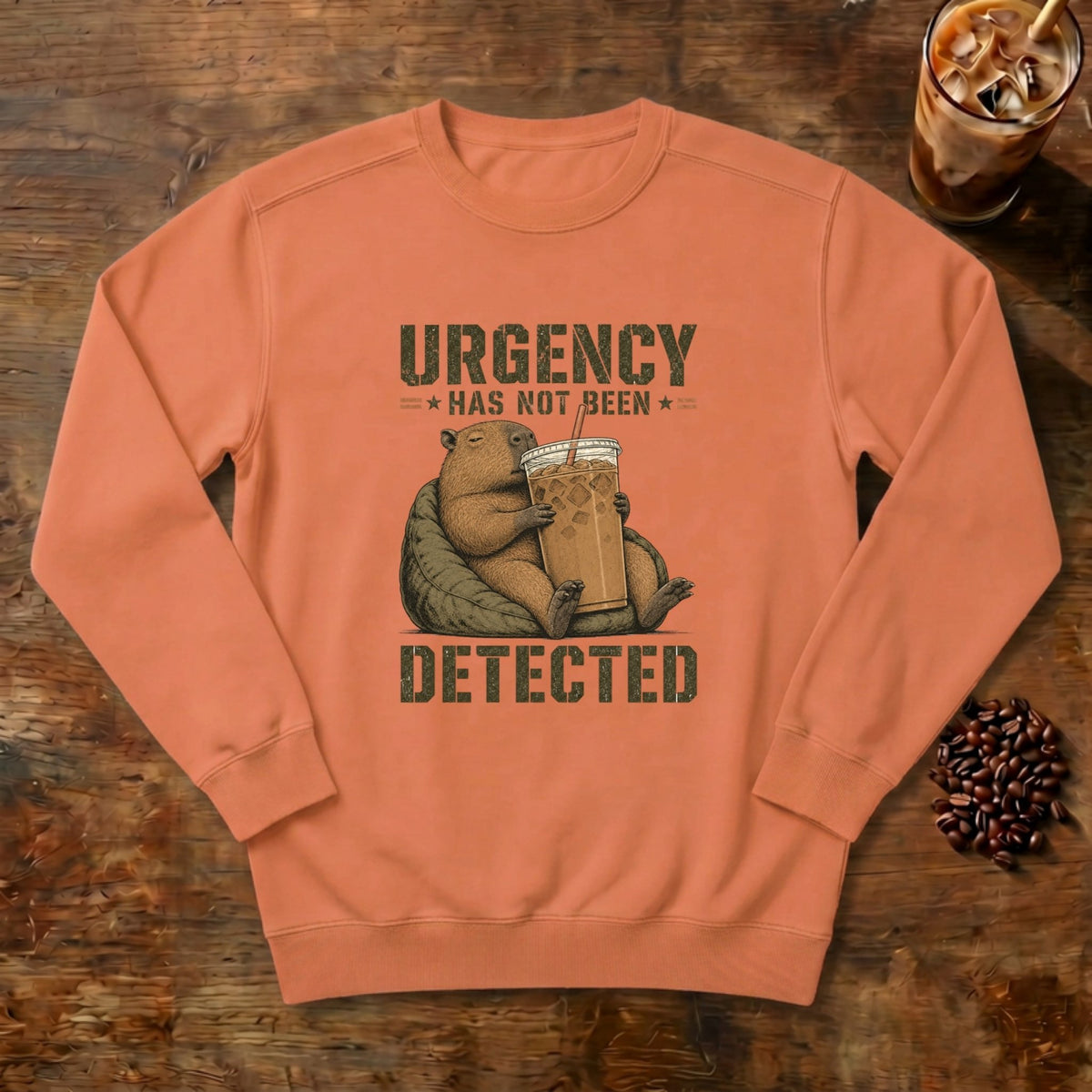 Urgency Not Detected Capybara Sweatshirt in Terracotta, a relaxed capybara with its coffee